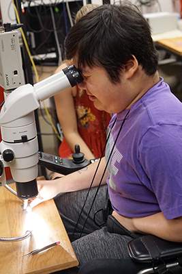 A student in a wheelchair uses a microscope.