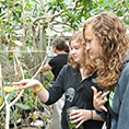 A student signs to another student as they view plants in a greenhouse.