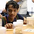 A student looks at a brain in a jar.